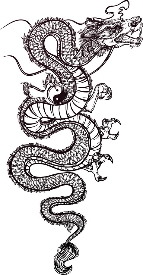 Chinese Dragon Tattoo Png