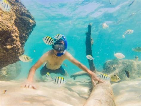 Best Antigua Snorkeling Spots: Discovering Underwater Treasures ...