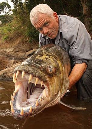 piranha with human teeth