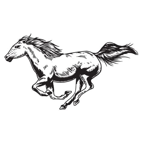 Horse running hand drawn vector illustration 2166716 Vector Art at Vecteezy