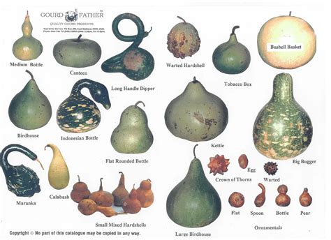 Gourds of Skyrim - A Book Replacer at Skyrim Nexus - mods and community