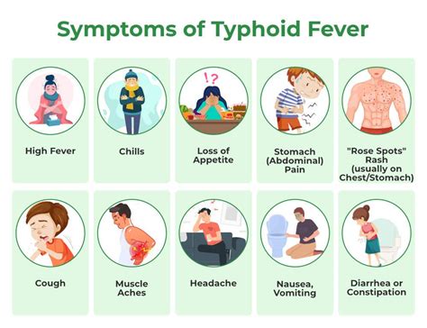 Typhoid Fever - Symptoms, Causes, Prevention and Treatment