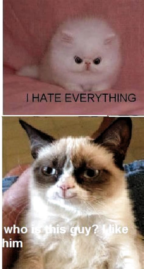 Hes smiling....its scary.... | Funny grumpy cat memes, Funny cat memes ...