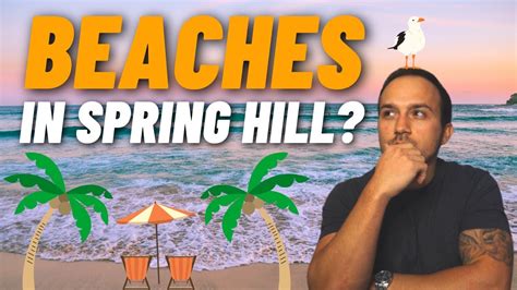 The TOP 3 Beaches in Spring Hill, Florida (Vlog Tour) - YouTube