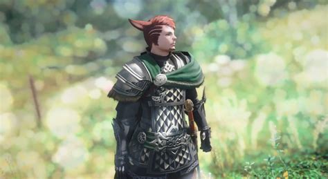 The Knight of Flowers | Eorzea Collection