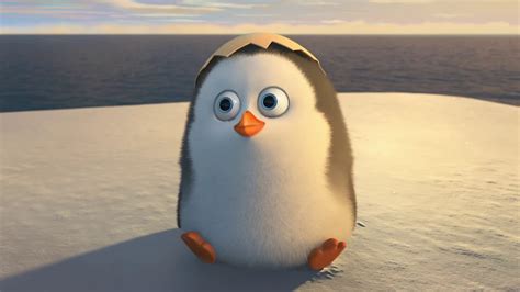 Cute Penguin Backgrounds (48+ pictures)