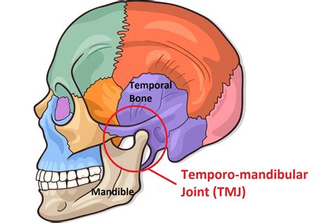 Does your jaw click? - Temporo-Mandibular Joint TMJ