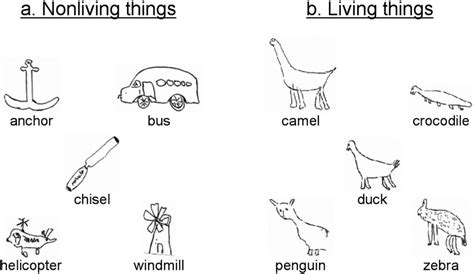 Drawings of (a) nonliving and (b) living things from a patient with ...