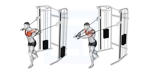 Cable Standing Chest Press - Guide, Benefits, and Form