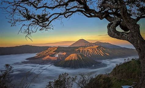 Bukit Kingkong, Spot Terbaik Melihat Sunrise di Bromo : Okezone Travel