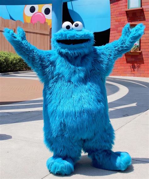 Category:Sesame Place Characters | Costumed Characters Wiki | Fandom