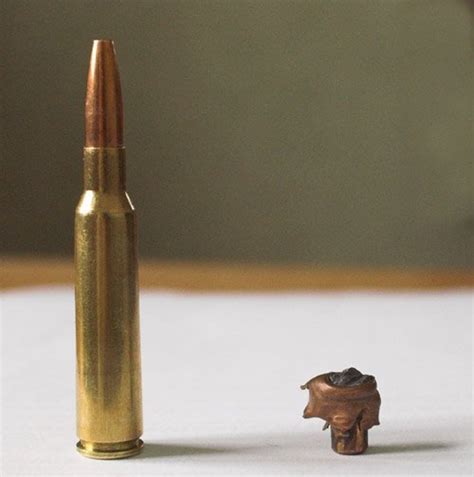 Elephant Gun Bullet Size