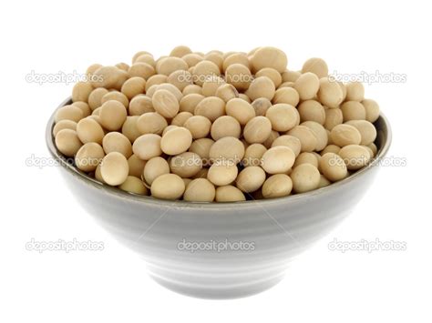 Dried Soya Beans Stock Photo by ©richardmlee 13475482