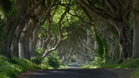 Two Day Tour to Belfast City, Game of Thrones & The Giant's Causeway ...