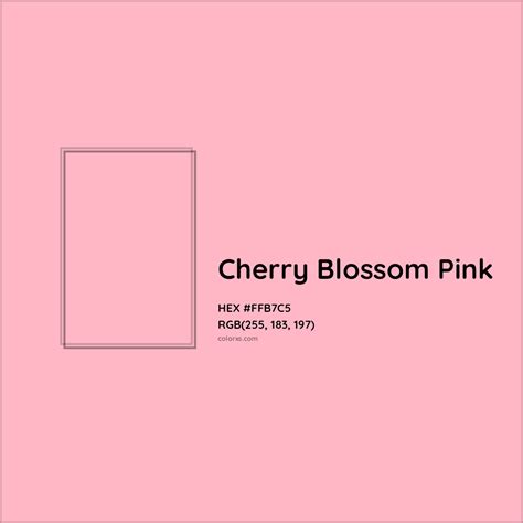 About Cherry Blossom Pink - Color meaning, codes, similar colors and ...