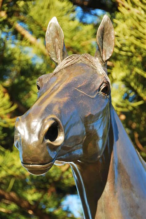 The Makybe Diva Australian Racehorse Statue | The Travel Tart Blog