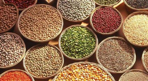 India’s Agricultural and Processed Food Products Exports Increased by 13%