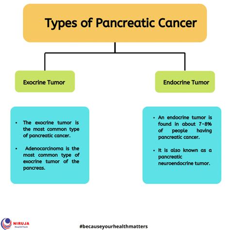 Types of Pancreatic Cancer