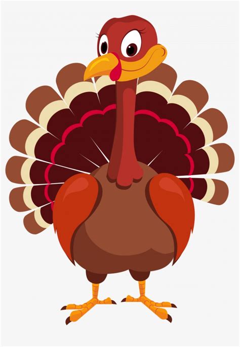 Turkey Thanksgiving Vector Png - 817x1105 PNG Download - PNGkit