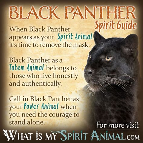 Animal spirit guides, Animal totem spirit guides, Power animal