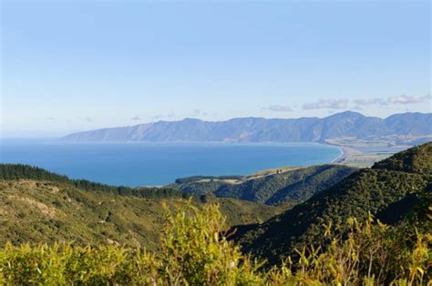 Best Road Trips from Wellington - VroomVroomVroom