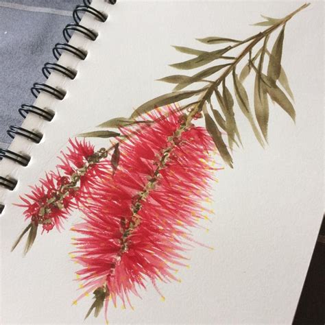 Vibrant Bottlebrush Flower Print