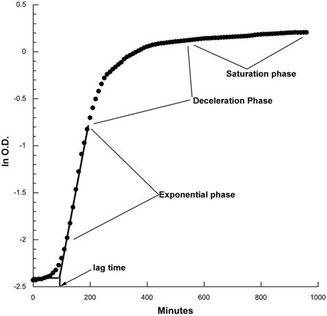 Bacterial Population Growth Curves Typically Include Which of the Following