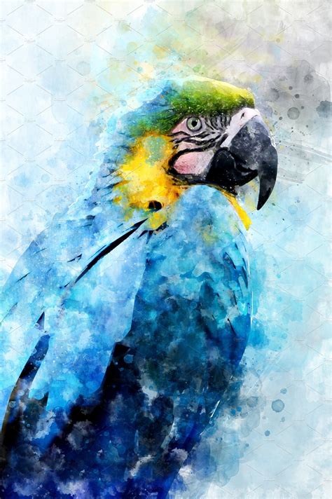 Colorful Parrot Watercolor Illustration