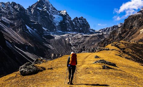 Around 500 Climbers, Including 4 Indians, Conquered Mt Everest in 2023