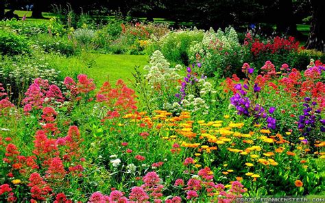 Beautiful Photos Of Flower Gardens