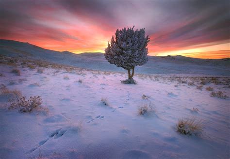 Photos - Owyhee Canyonlands