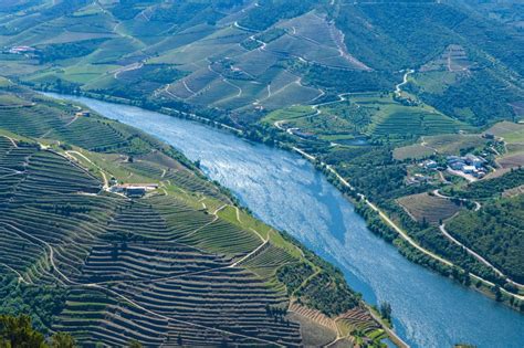 A Complete Guide to the Douro Valley Wine Region