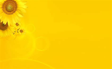 Yellow HD Wallpapers - Wallpaper Cave