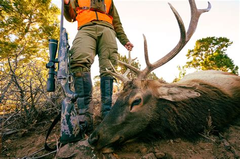 Best Elk Hunting Rifles of 2024 | Outdoor Life