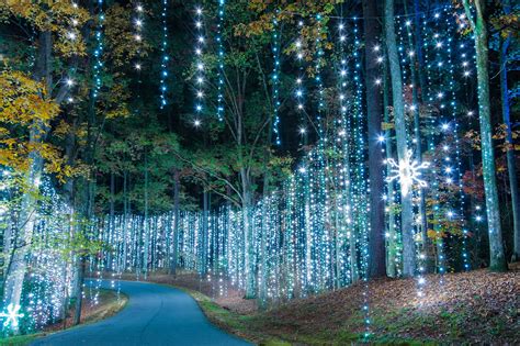 Callaway Gardens Fantasy In Lights 2024 Results - Ariel Brittni