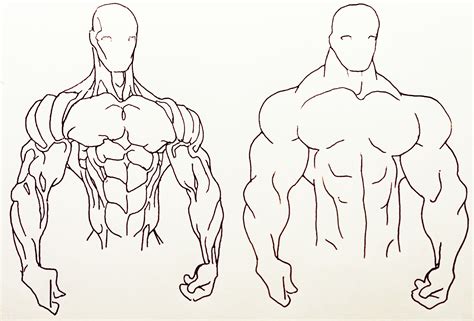 Bodybuilder Drawing at GetDrawings | Free download