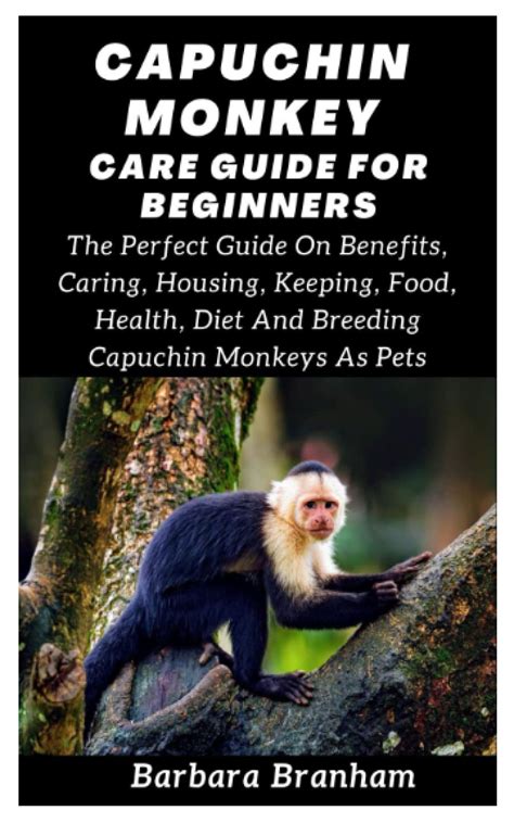 Buy CAPUCHIN MONKEY CARE GUIDE FOR BEGINNERS: The Perfect Guide On ...