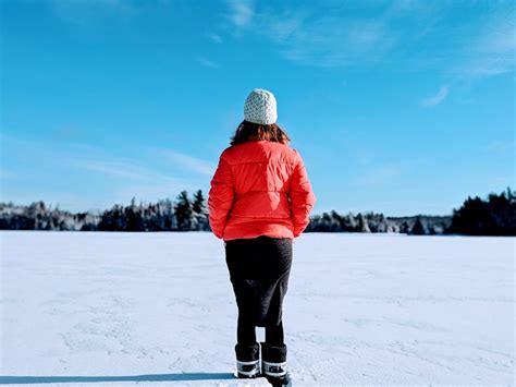 Photo of Snowy Field · Free Stock Photo