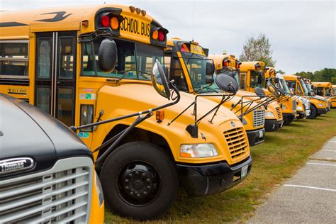 Yellow School Buses Free Stock Photo - Public Domain Pictures