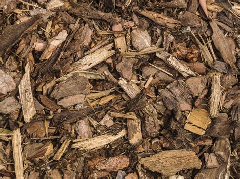 Types Of Bark Mulch: Tips For Using Wood Mulch In Gardens | Best mulch ...