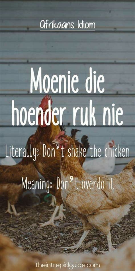 Moenie die hoender ruk nie. | Afrikaans, Afrikaans quotes, Idioms