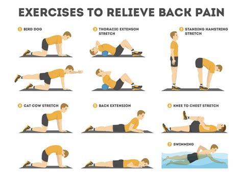 Lower back pain? Here are few exercises that can help - Kay Spears