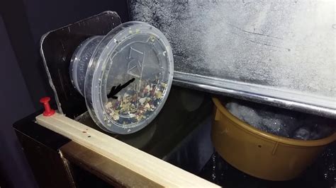 Diy Fish Feeder : Automatic Fish Feeder Homemade ( Latest Version ) # ...