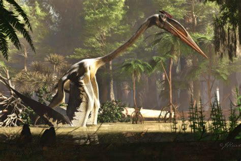 Así era el Quetzalcoatlus, el animal volador más grande de la historia ...