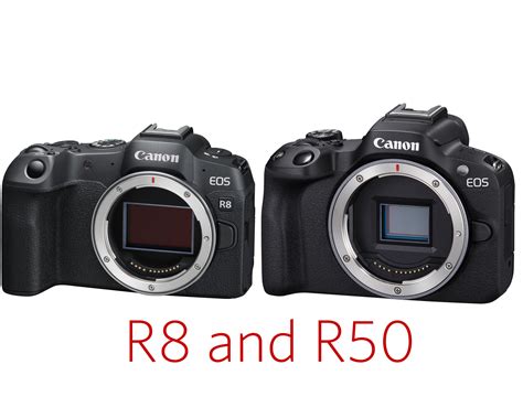 Canon Adds EOS R50 and EOS R8