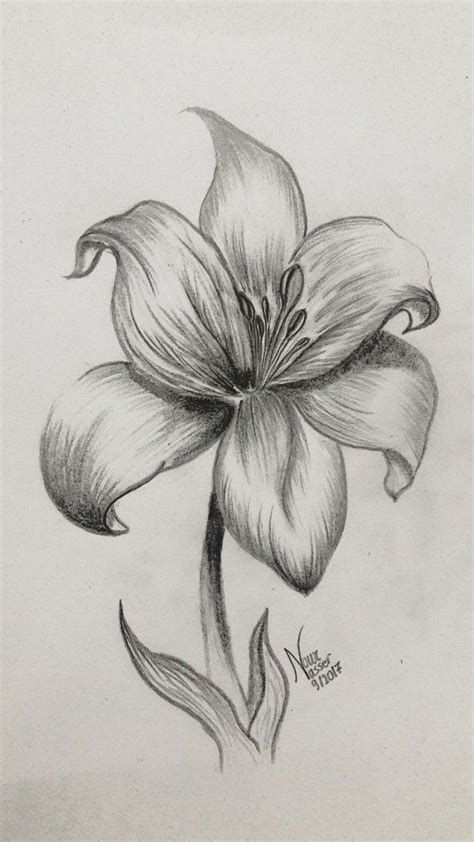 realistic flower drawing easy - Mad Thing Blogging Galleria Di Immagini