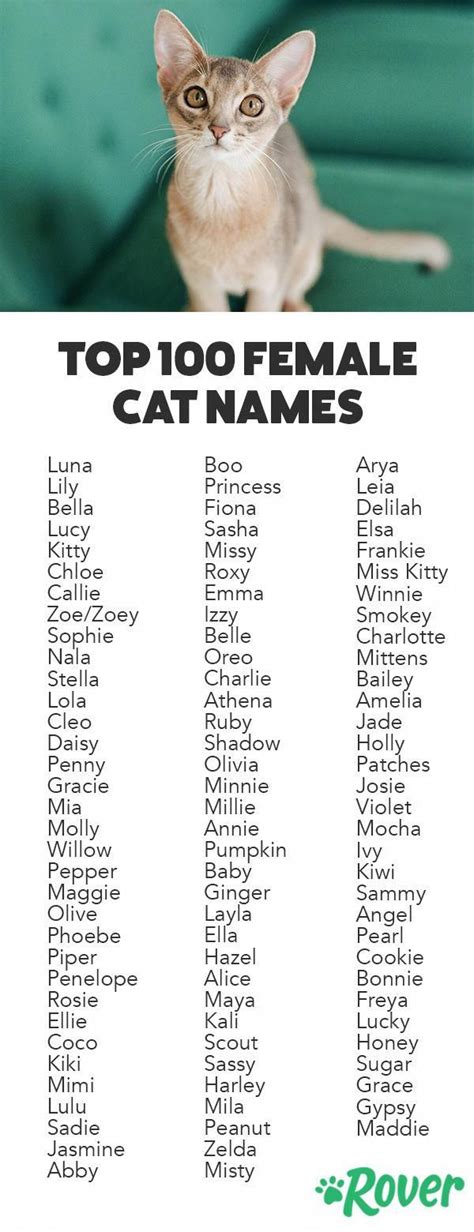 We've rounded up the top 100 female names for cats and kittens ...