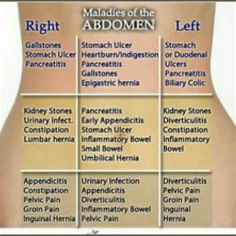 Abdominal quadrant pains | Abdominal pain, Quadrants of the abdomen, Nurse