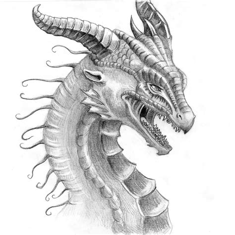 Dragon Face by LiquidDragonN on DeviantArt Realistic Dragon Drawing ...