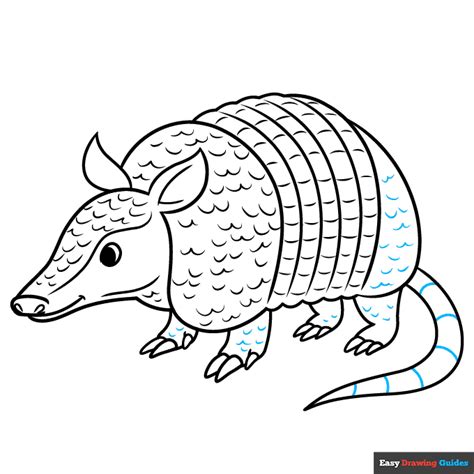 How To Draw An Armadillo Easy Step By Step Drawing Tutorial For ...